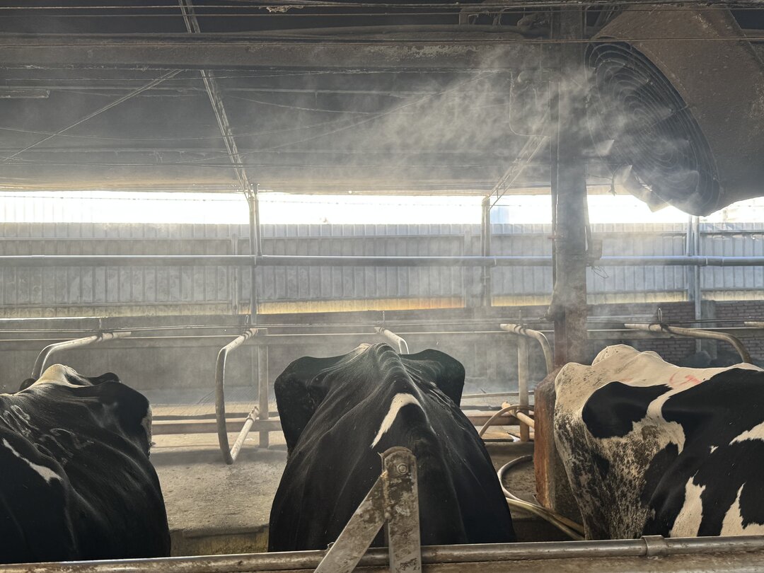 Animal Cooling and Comfort Misting Systems